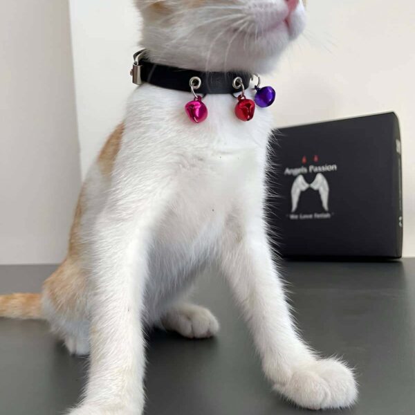 3 Zilli Kedi Tasması, Deri Kedi Tasması - NPC009