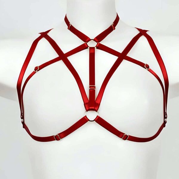 Boyundan Bağlamalı Fetiş Göğüs Harness - APFT166
