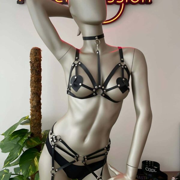 Deri Jartiyer Siyah Harness Takım - APFT451