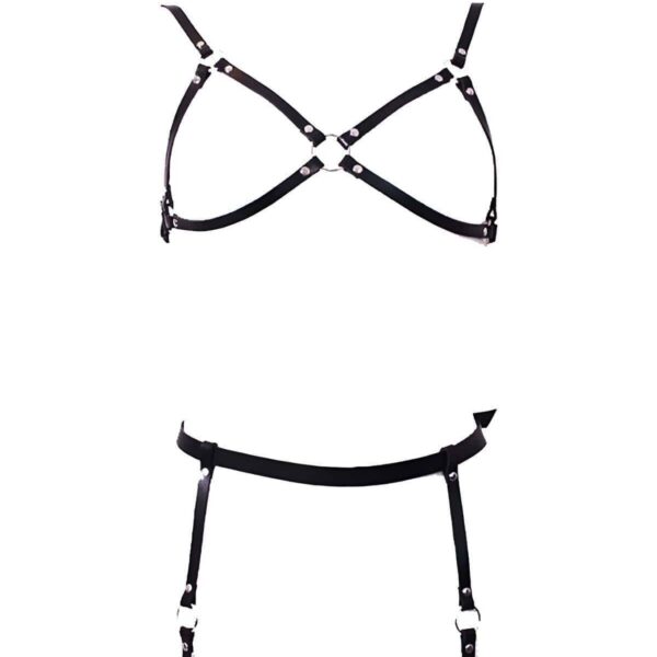 Deri Jartiyer Takım Harness - APFT228