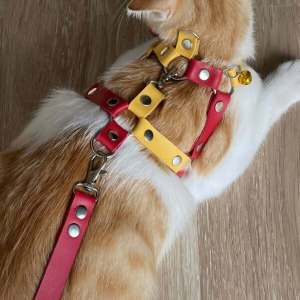 Deri Kedi Gezdirme Tasması, Deri Kedi Göğüs Tasması - NPC013