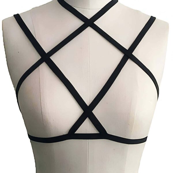 Günlük Kullanıma Uygun Harness - APFT69