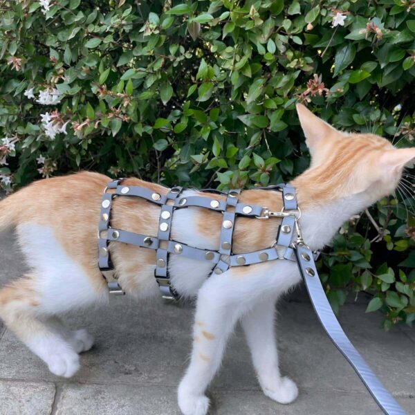 Karanlıkta Parlayan Reflektörlü Şık Kedi Harness, Kedi Yürüme Tasması, Kedi Güvenlik Tasması - NPC011