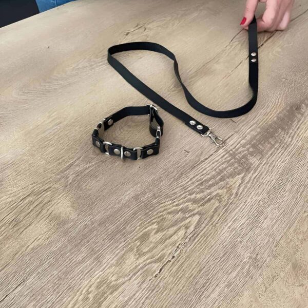 Kedi Harness , Gezdirme Ve Boyun Tasması - NPC002