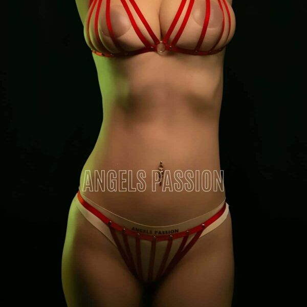 Lastik Harness Sütyen Külot Takım - APFT555