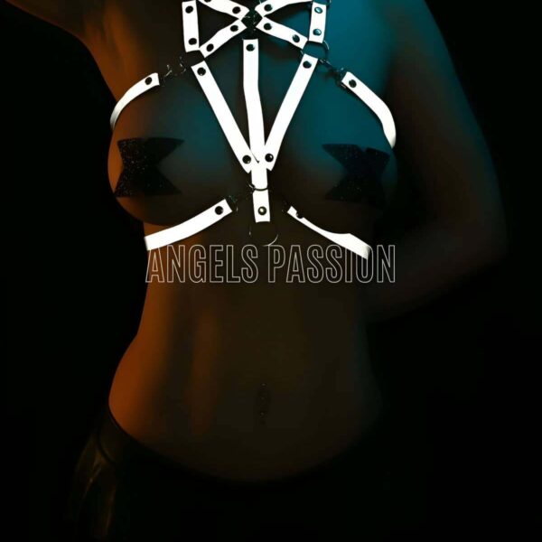 Özel Tasarım Seksi Reflektörlü Göğüs Harness - APFT314