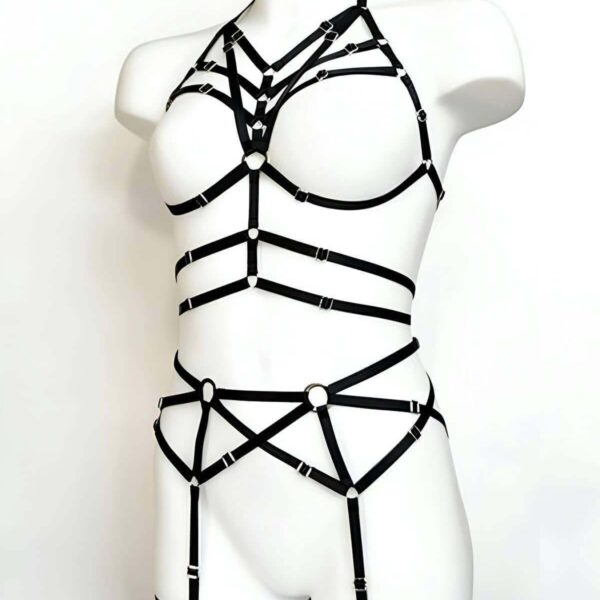 Seksi Jartiyer Harness Takım - APFT347