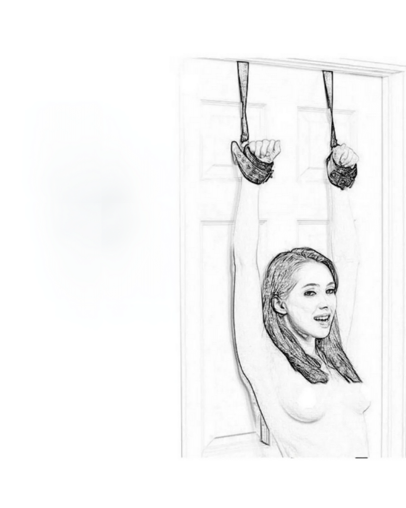 Tegan FANTEZİ SEKSİ KAPI ASKISI TG275423-1 - Görsel 2