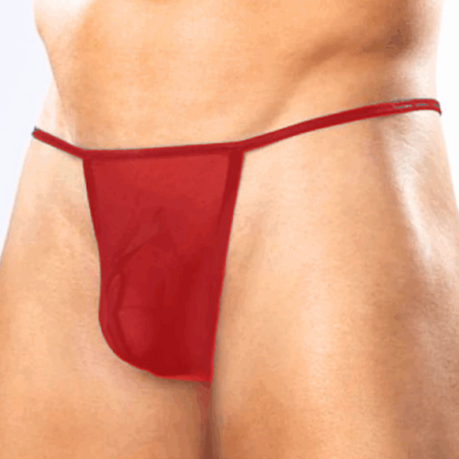 Tegan Fantezi Kırmızı Transparan Seksi Tül Erkek String TG274602
