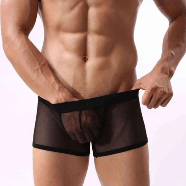 Tegan Fantezi  Transparan Tül Erkek Boxer  Fantezi Tanga TG274603