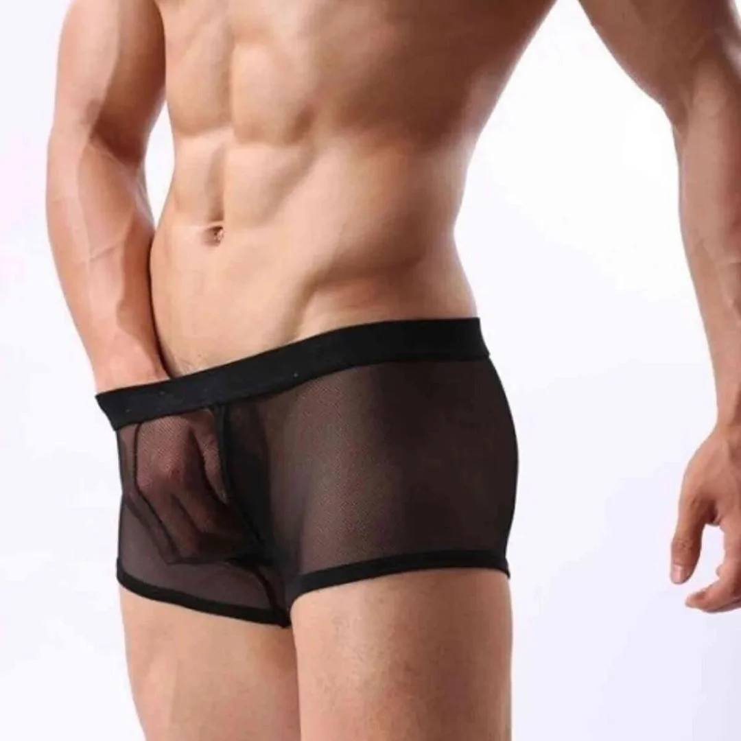 Fantezi Transparan Tül Erkek Boxer Fantezi Tanga TG274603 - Tegan